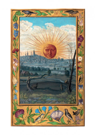 Figura XXII: Il Quinto Trattato, Parte 1, Quarto Capitolo - Illustrazione tratta dallo Splendor Solis di Solomon Trismosin.