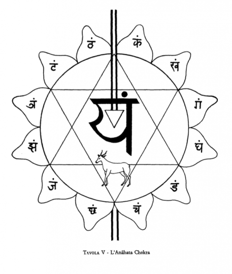 Tavola V – L'Anāhata Chakra