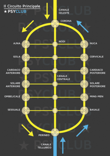 Tavola 2 - Il Circuito Principale collega 14 chakra primari.