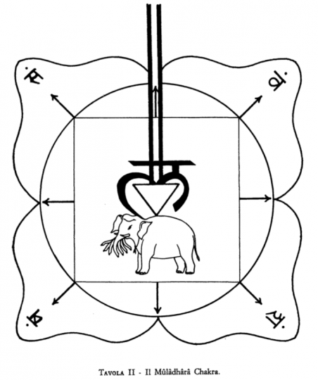 Tavola II: Il Mūlādhāra-Cakra