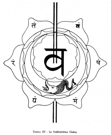 Tavola III – Lo Svādhiṣṭhāna Chakra