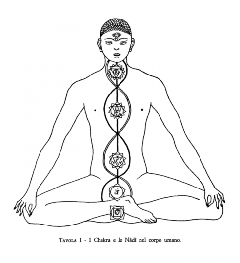 Tavola I: I Cakra e le Nāḍī nel corpo umano.