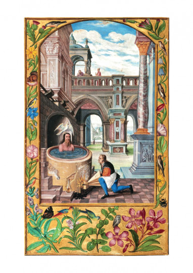 Figura XI: La Settima Parabola - Illustrazione tratta dallo Splendor Solis di Solomon Trismosin.