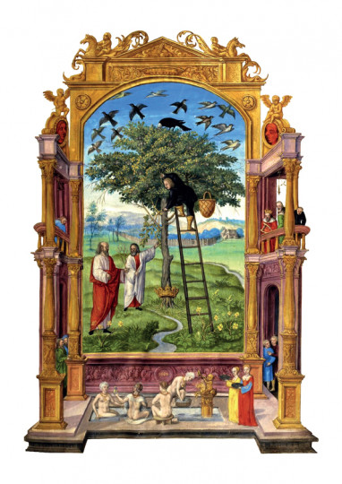 Figura VI: L'Altra Parabola - Illustrazione tratta dallo Splendor Solis di Solomon Trismosin.