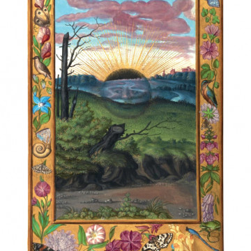 Illustrazione tratta dallo Splendor Solis di Solomon Trismosin.