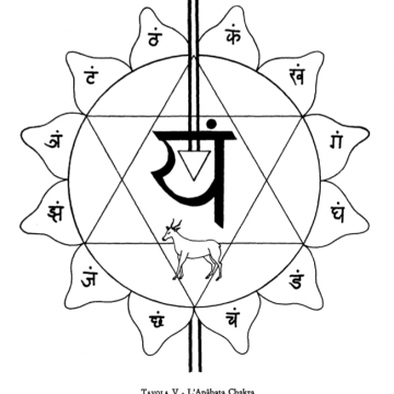 Tavola V – L'Anāhata Chakra - Immagine tratta dal libro di Arthur Avalon "Il Potere del Serpente" - Capitolo V: I Centri (Chakra) o Fiori di Loto (Padma). Tavola V – L'Anāhata Chakra