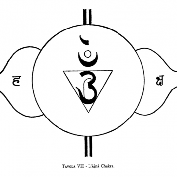 Tavola VII – L’Ājñā Cakra