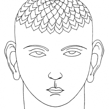 Tavola VIII – Il Sahasrāra Chakra