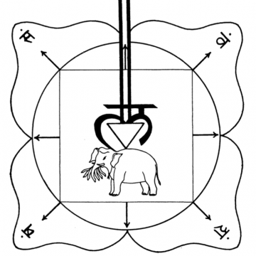 Tavola II: Il Mūlādhāra-Cakra - Immagine tratta dal libro di Arthur Avalon "Il Potere del Serpente" - Capitolo V: I Centri (Chakra) o Fiori di Loto (Padma). Tavola II: Il Mūlādhāra-Cakra