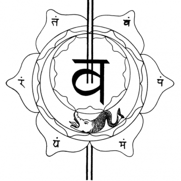 Tavola III – Lo Svādhiṣṭhāna Chakra - Immagine tratta dal libro di Arthur Avalon "Il Potere del Serpente" - Capitolo V: I Centri (Chakra) o Fiori di Loto (Padma). Tavola III – Lo Svādhiṣṭhāna Chakra