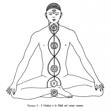 Tavola I: I Cakra e le Nāḍī nel corpo umano. - Immagine tratta dal libro di Arthur Avalon "Il Potere del Serpente" - Capitolo V: I Centri (Chakra) o Fiori di Loto (Padma). Tavola I: I Cakra e le Nāḍī nel corpo umano.