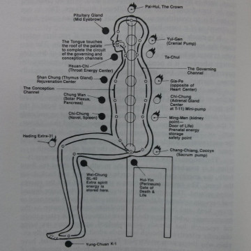 Ren Mai, Du Mai e Chakra - Dal libro "Taoist Secrets of Love", di Mantak Chia. Ren Mai, Du Mai e Chakra