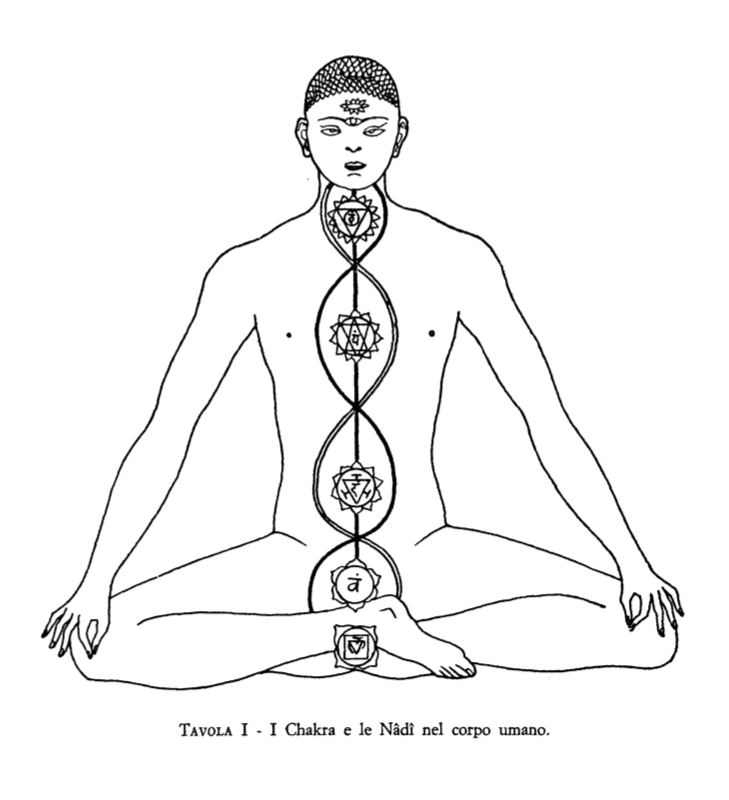 Tavola I: I Cakra e le Nāḍī nel corpo umano.