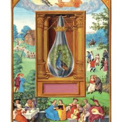 Splendor Solis - Descrizione delle Figure, La Diciassettesima Figura