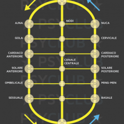 La Meditazione della Centratura, Parte 2: il Circuito Principale