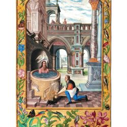 Splendor Solis - Descrizione delle Figure, L'Undicesima Figura