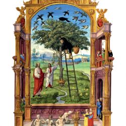 Splendor Solis - Descrizione delle Figure, La Sesta Figura